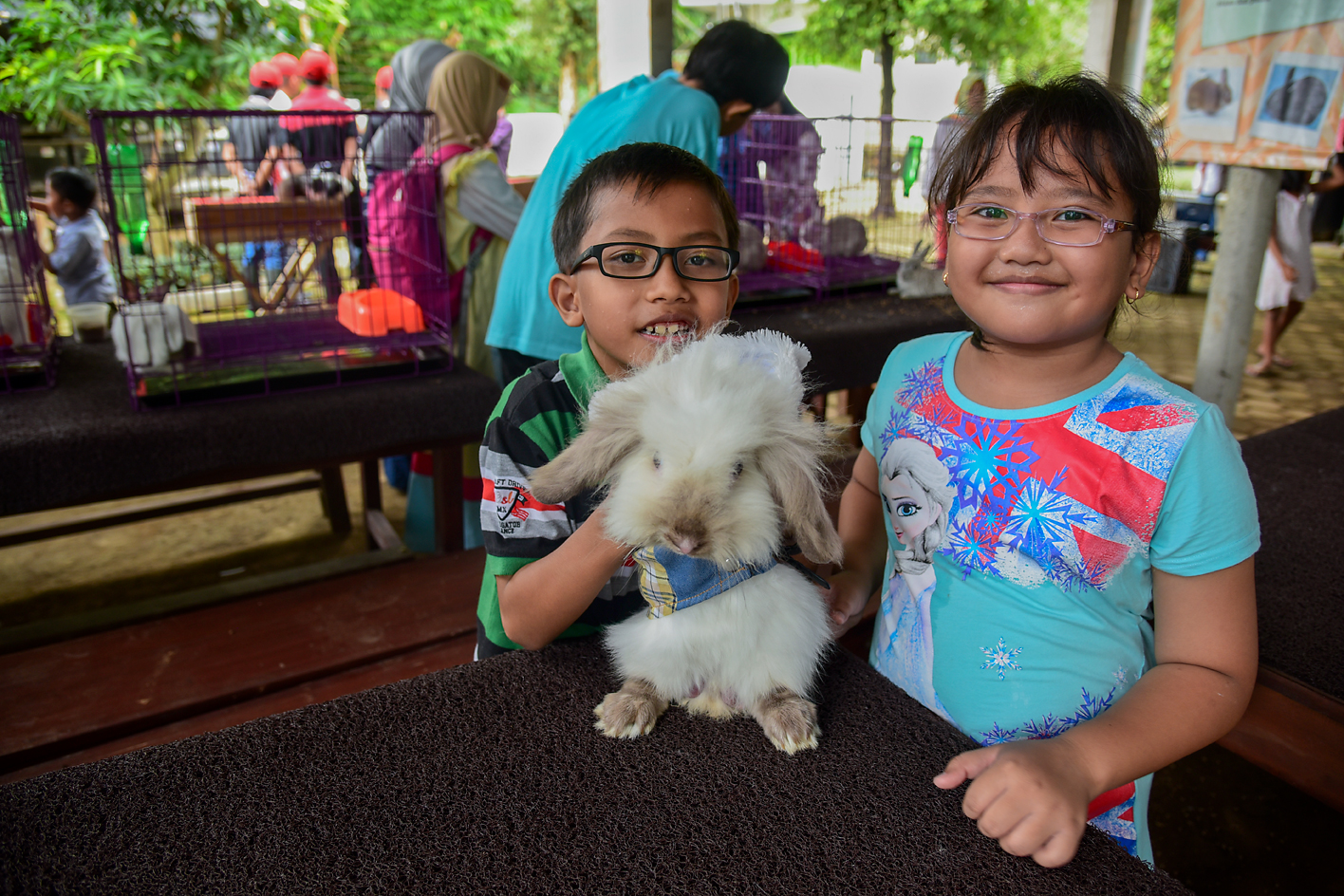 PEDULI HEWAN: Di Bunny Friend Village Taman Botani Sukorambi, pengunjung bisa mengenal berbagai hal tentang kelinci dan landak mini. PEDULI HEWAN: Di Bunny Friend Village Taman Botani Sukorambi, pengunjung bisa mengenal berbagai hal tentang kelinci dan landak mini.