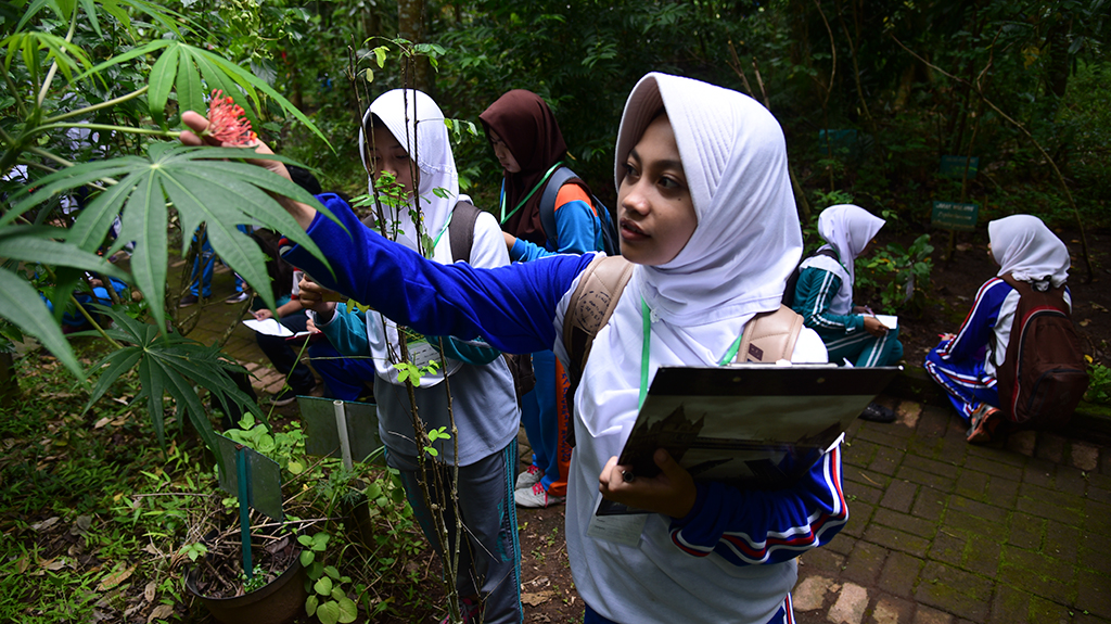 Botanical Game Seru di Taman Botani