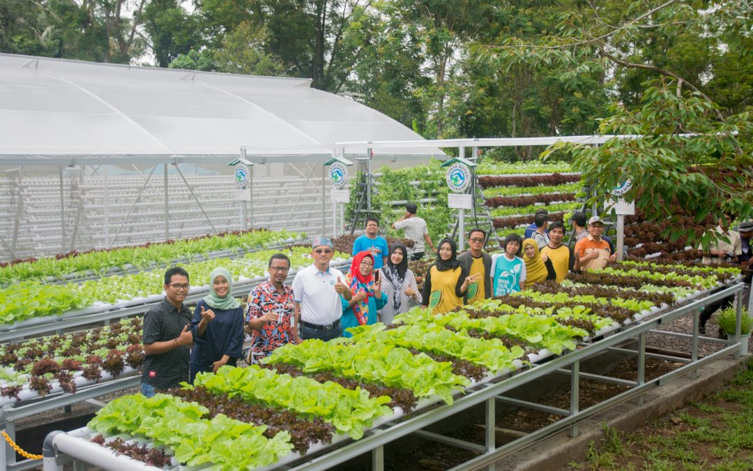 Horee… Taman Botani Sukorambi Kini Punya Kebun Edukasi Hidroponik