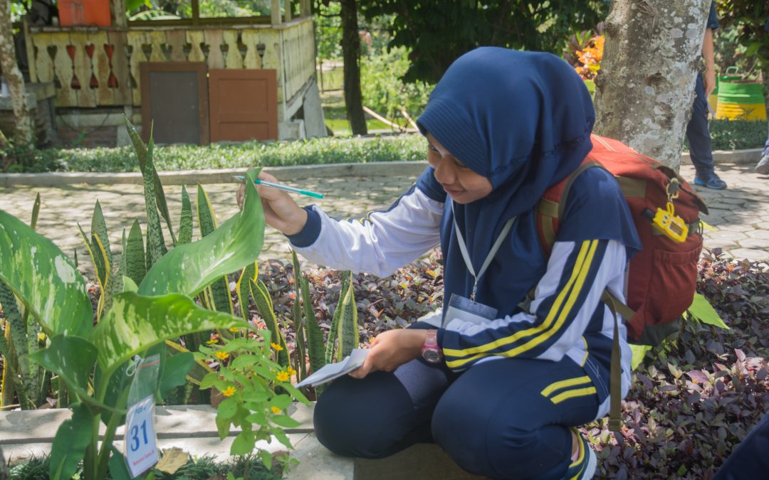 Ikut Botanical Game, Belajarnya di Google