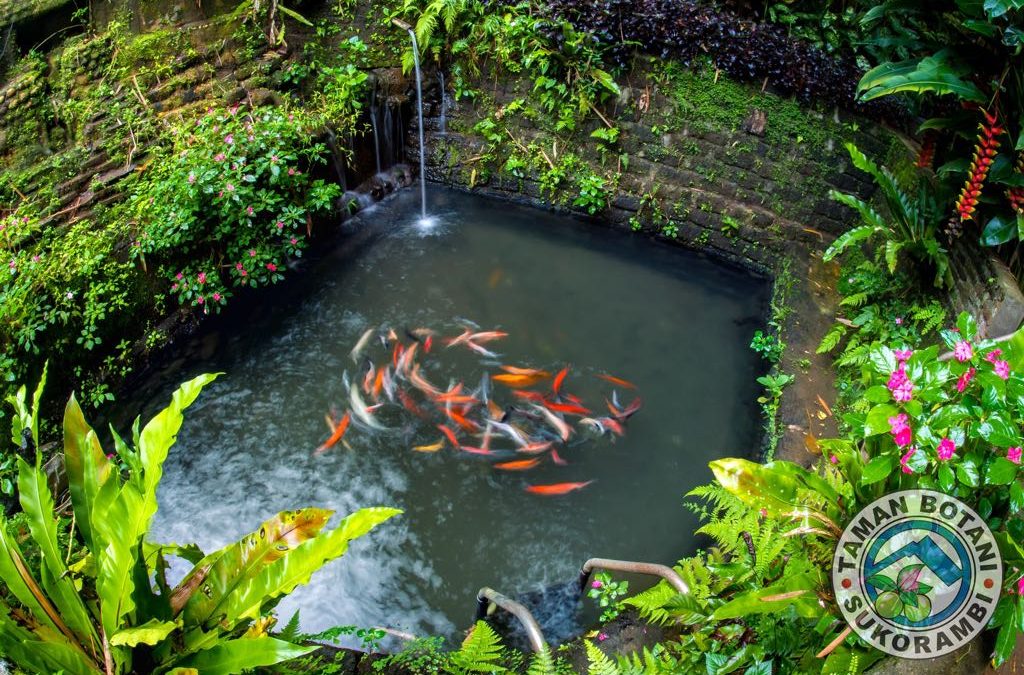 Botani Tempat Asyik untuk Hunting Foto