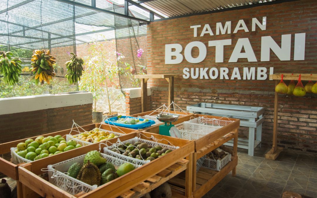 Belanja Buah di Horti Hut