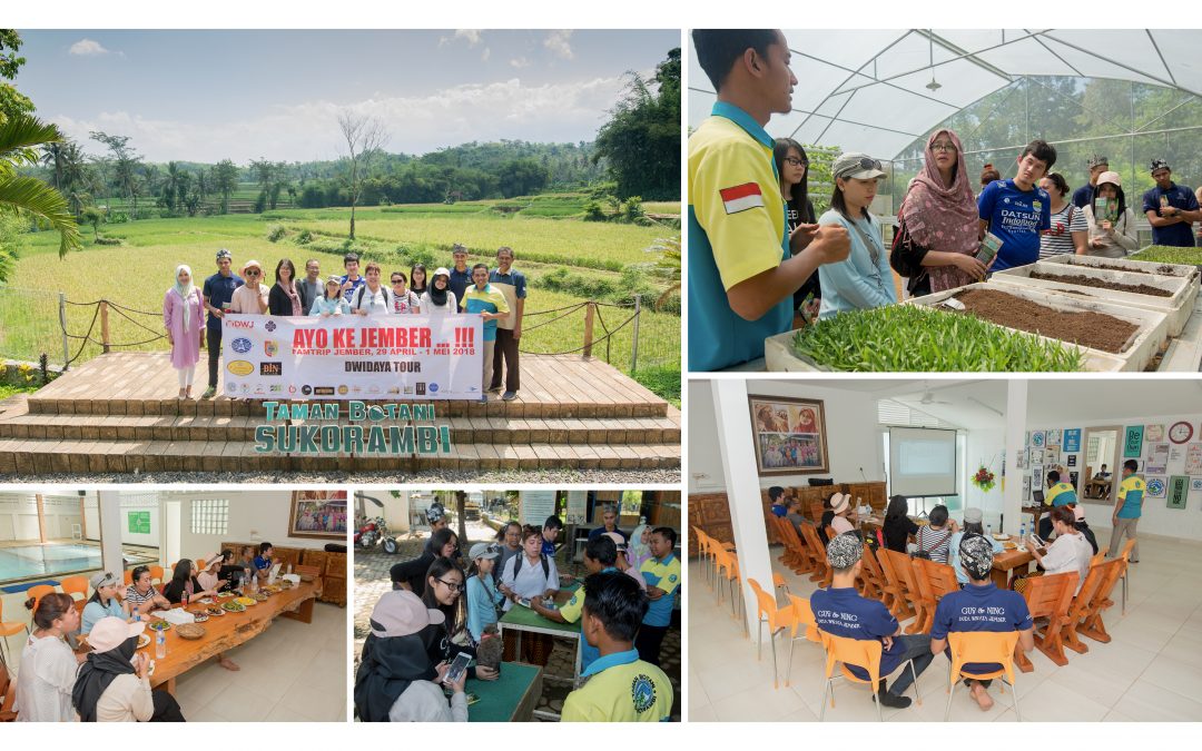 Dwidaya: Tak Menyangka Taman Botani Sukorambi Keren